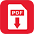 Download PDF